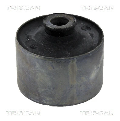 Bushing, axle beam (8500 10846)