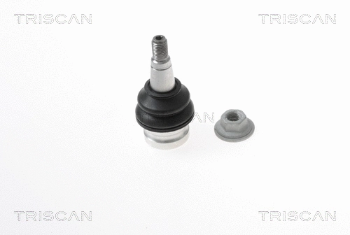 Ball Joint (8500 295018)