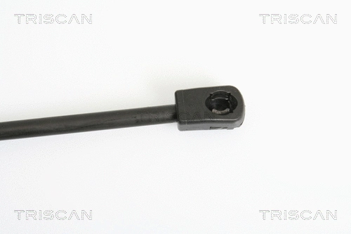 Gas Spring, boot/cargo area