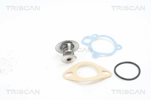 Thermostat, coolant (8620 2391)