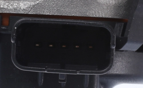 EGR Valve
