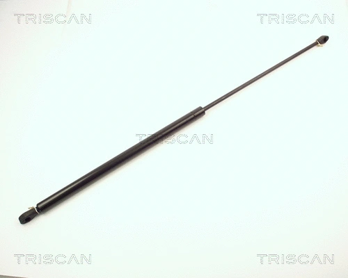 Gas Spring, boot/cargo area (8710 2004)