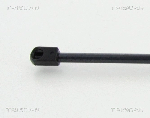 Gas Spring, boot/cargo area (8710 80214)