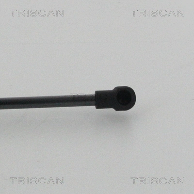 Gas Spring, boot/cargo area