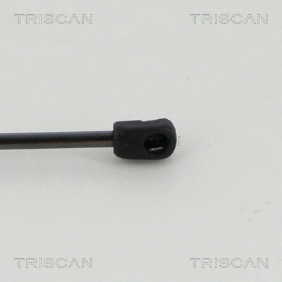 Gas Spring, boot/cargo area