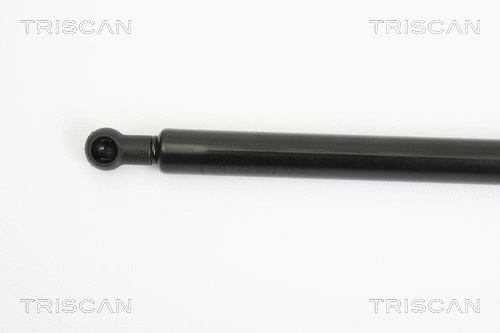 Gas Spring, boot/cargo area