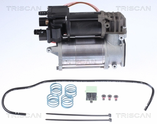 Compressor, compressed air system (8725 11101)