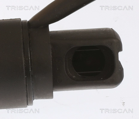 Gas Spring, boot/cargo area