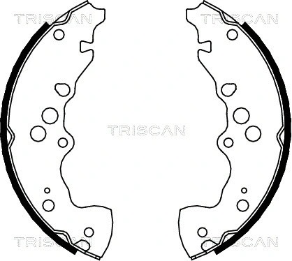Brake Shoe Set (8100 69003)