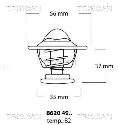 Thermostat, coolant (8620 4982)
