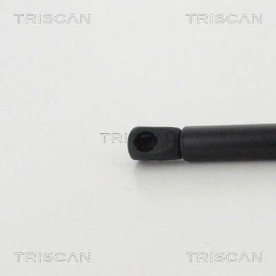 Gas Spring, boot/cargo area
