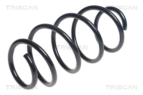 Suspension Spring (8750 29387)
