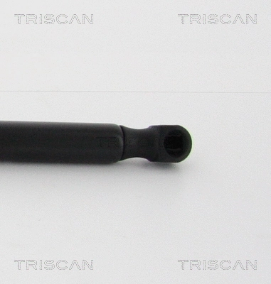 Gas Spring, boot/cargo area
