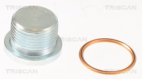 Screw Plug, oil sump (9500 1007)