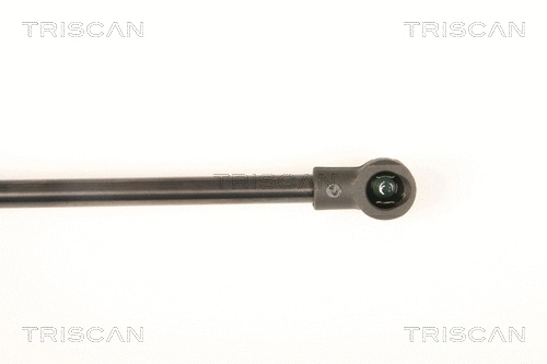 Gas Spring, rear window