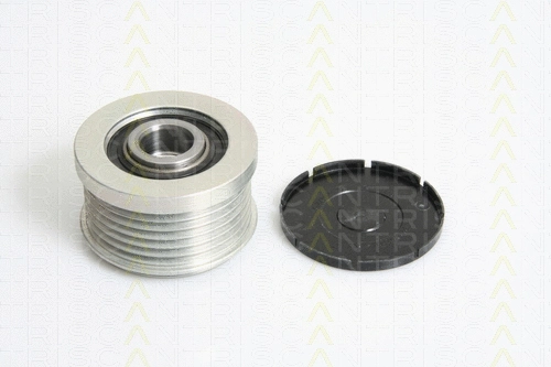 Alternator Freewheel Clutch (8641 154004)