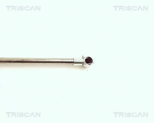 Gas Spring, boot/cargo area