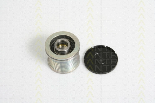 Alternator Freewheel Clutch (8641 234013)