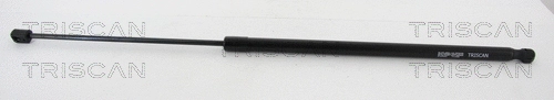 Gas Spring, boot/cargo area (8710 16262)