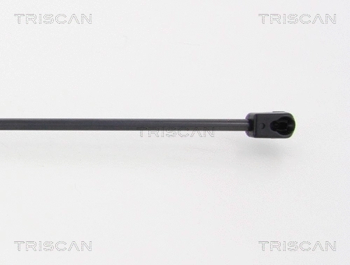 Gas Spring, boot/cargo area