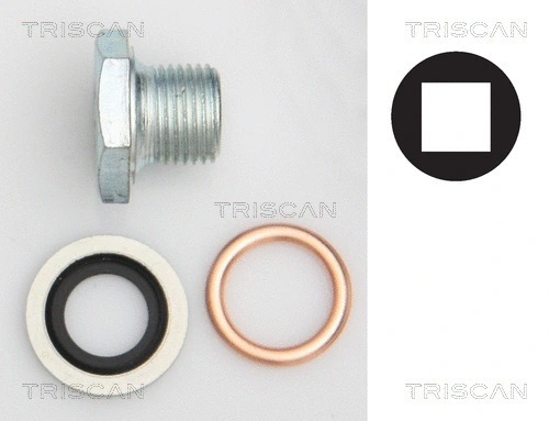 Screw Plug, oil sump (9500 1006)