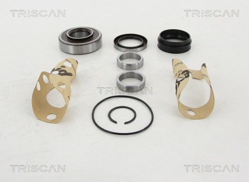Wheel Bearing Kit (8530 13281)