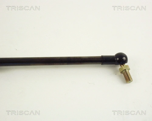 Gas Spring, boot/cargo area