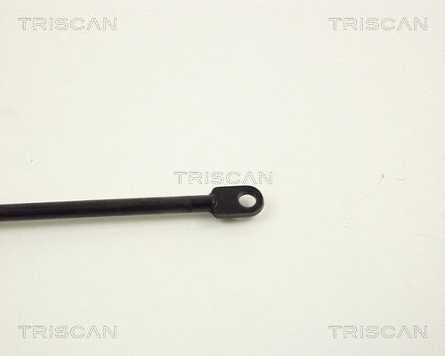 Gas Spring, boot/cargo area