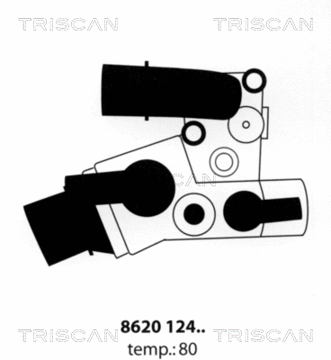 Thermostat, coolant (8620 12480)