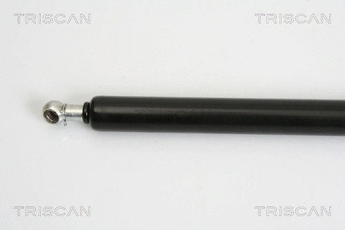 Gas Spring, boot/cargo area