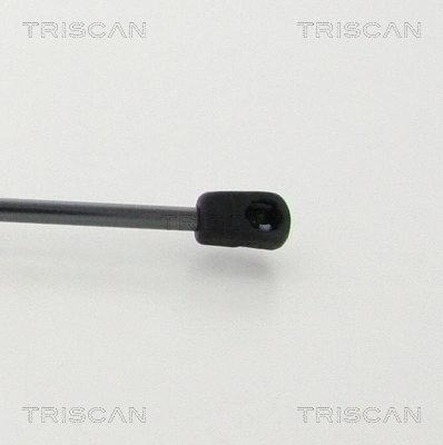 Gas Spring, bonnet