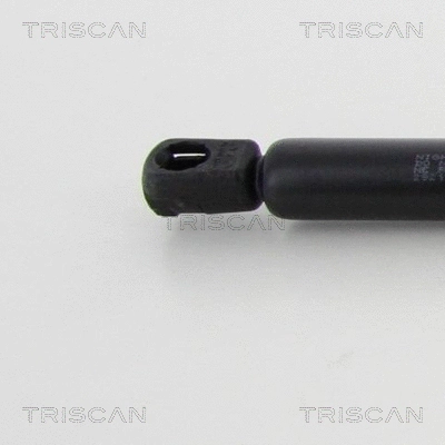 Gas Spring, boot/cargo area