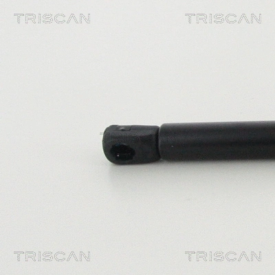 Gas Spring, boot/cargo area