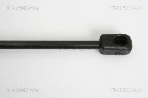 Gas Spring, boot/cargo area