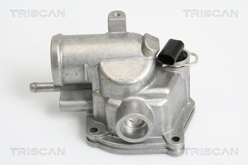Thermostat, coolant (8620 19587)