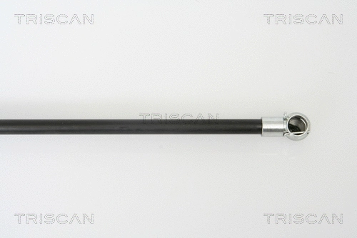 Gas Spring, boot/cargo area