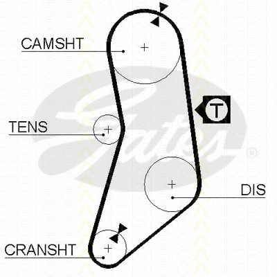 Timing Belt