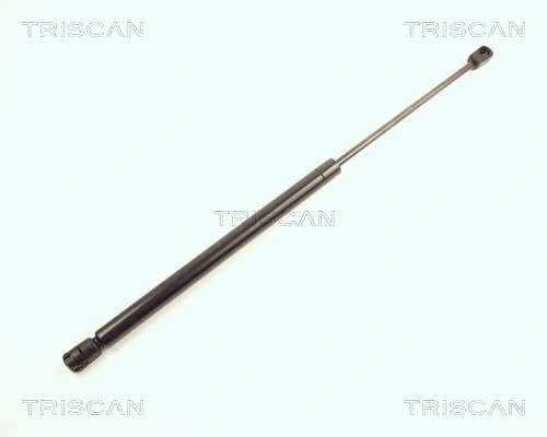 Gas Spring, boot/cargo area