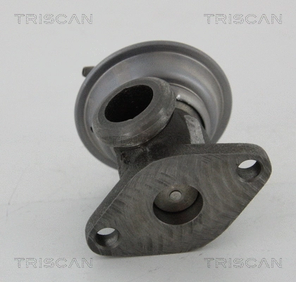 EGR Valve (8813 29011)
