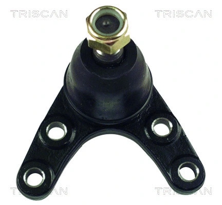 Ball Joint (8500 50507)