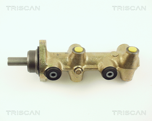 Brake Master Cylinder (8130 29100)