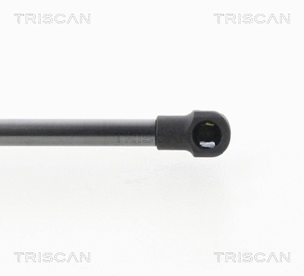 Gas Spring, boot/cargo area