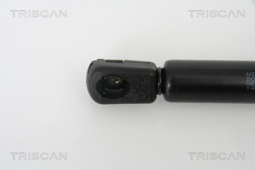 Gas Spring, boot/cargo area