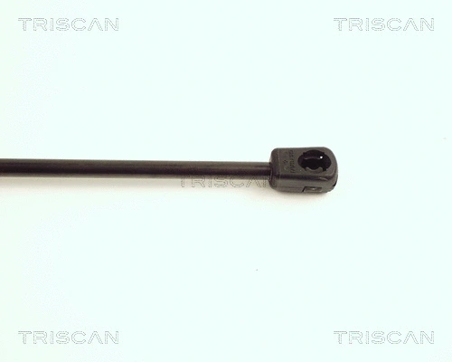 Gas Spring, boot/cargo area