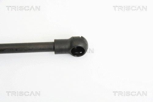 Gas Spring, bonnet