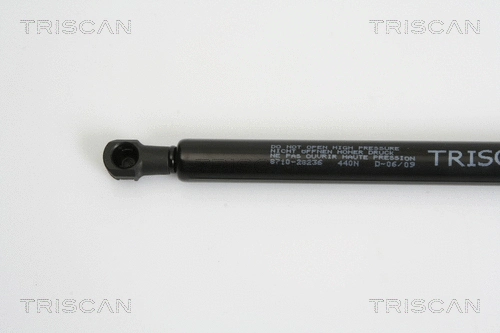 Gas Spring, boot/cargo area