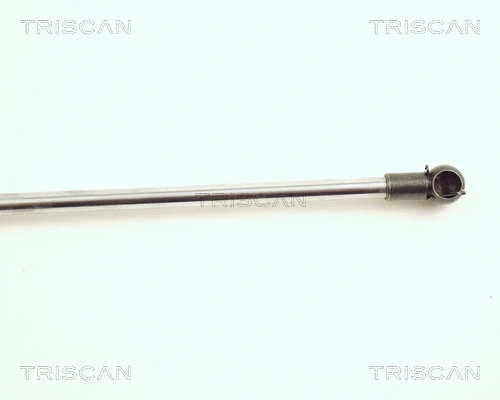 Gas Spring, boot/cargo area