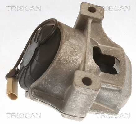 Mounting, engine