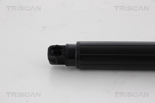 Gas Spring, boot/cargo area