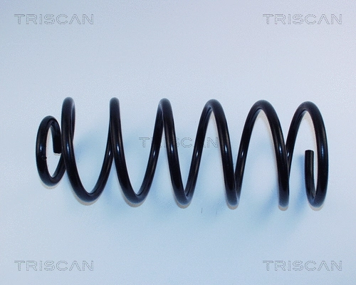 Suspension Spring (8750 2995)